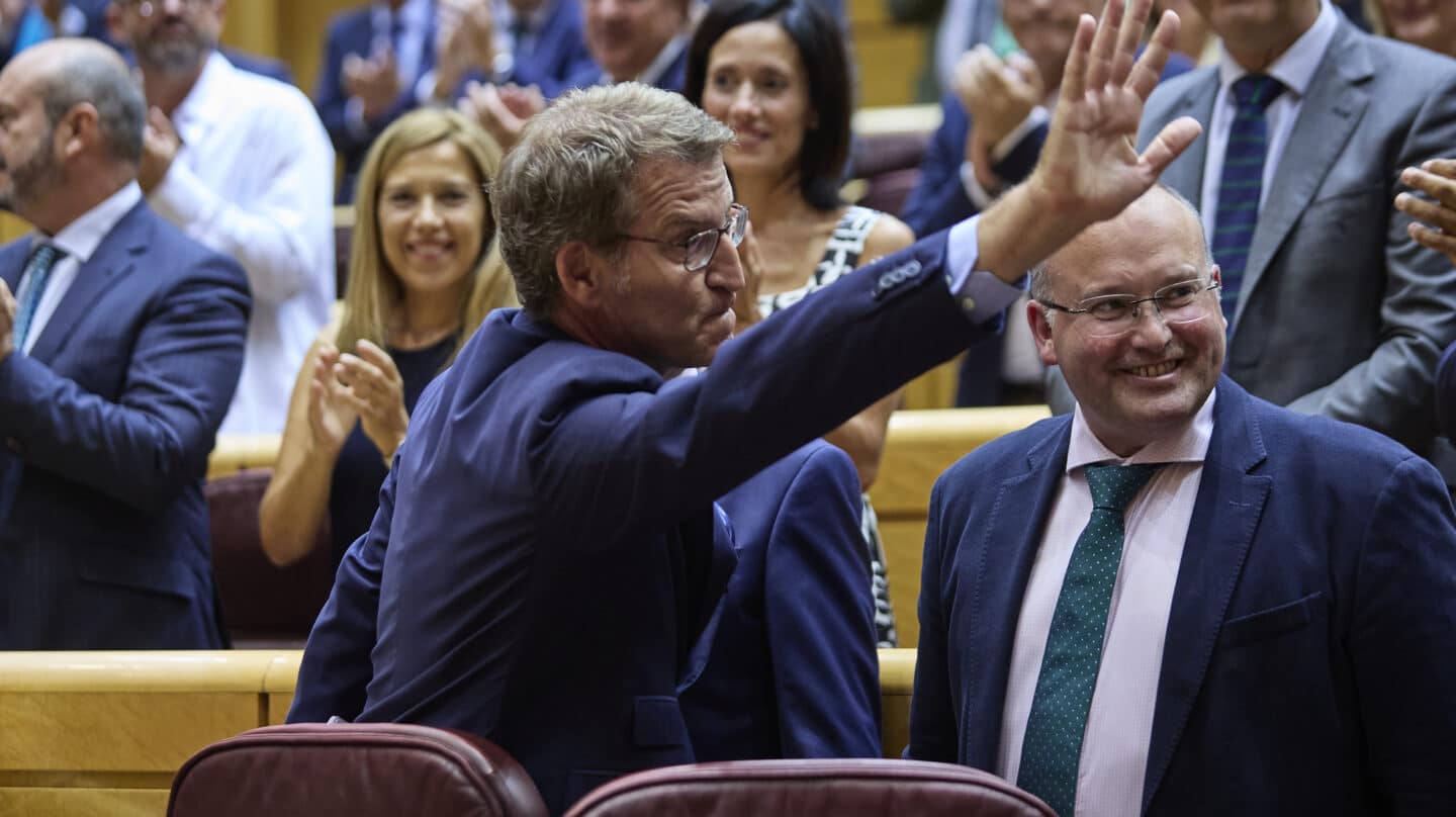 Alberto Núñez Feijóo, en el Senado.