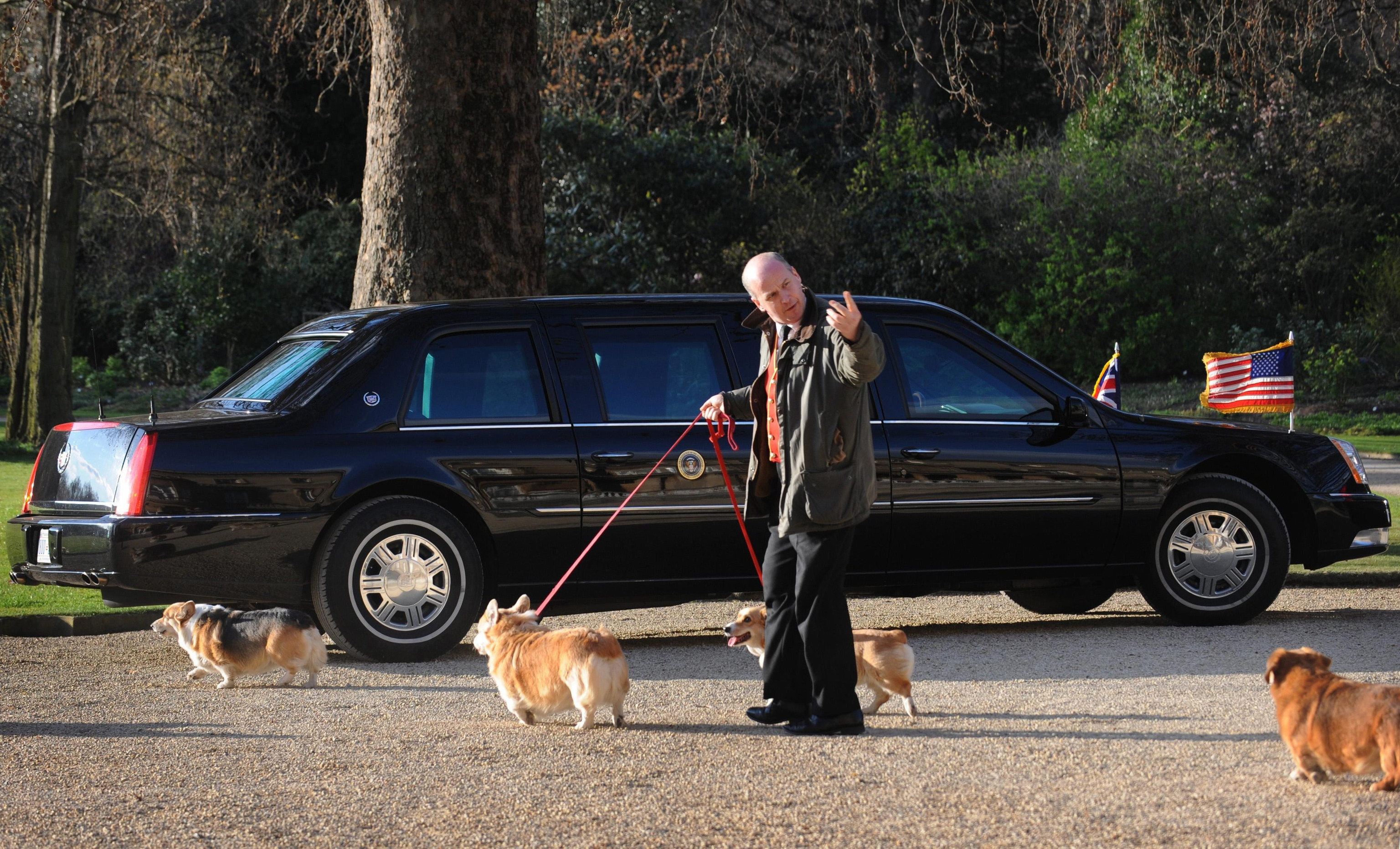 Los corgis de Isabel II en 2009