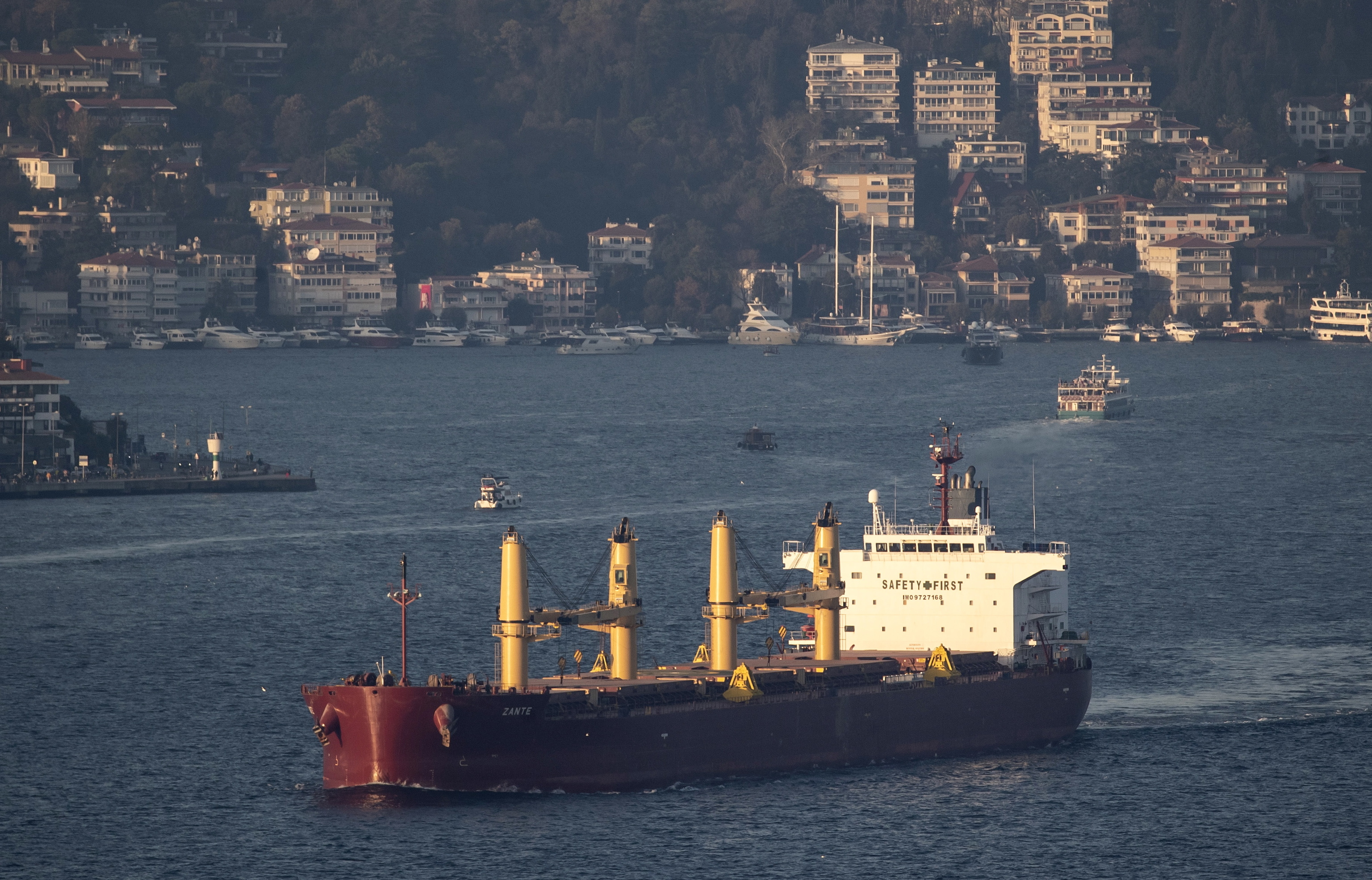 Un barco mercante con cereales de Ucrania, en Turqu