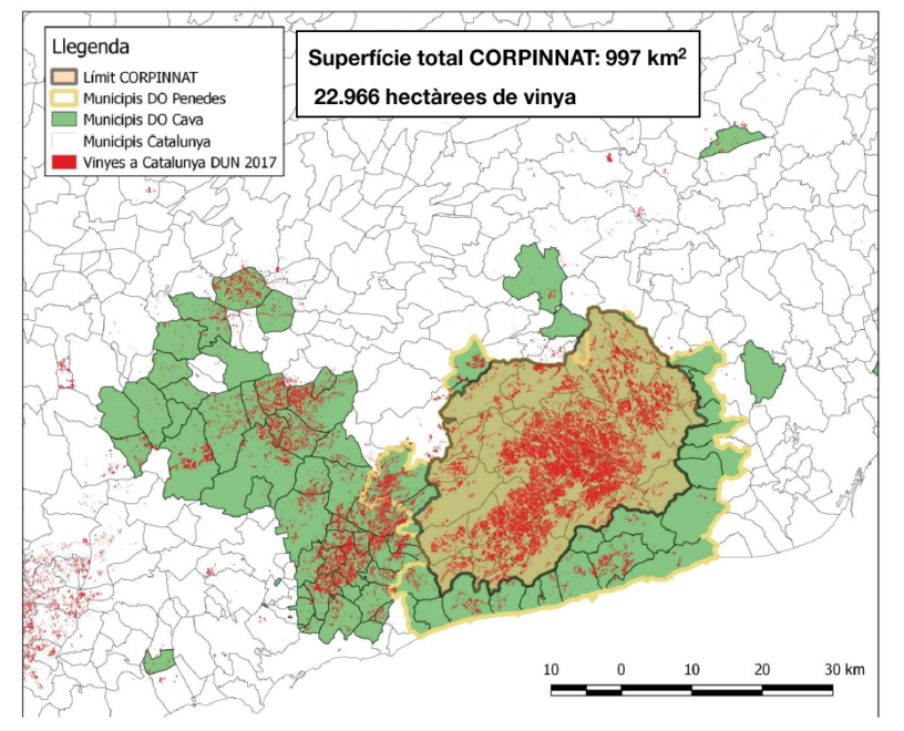 Mapa corpinnat.