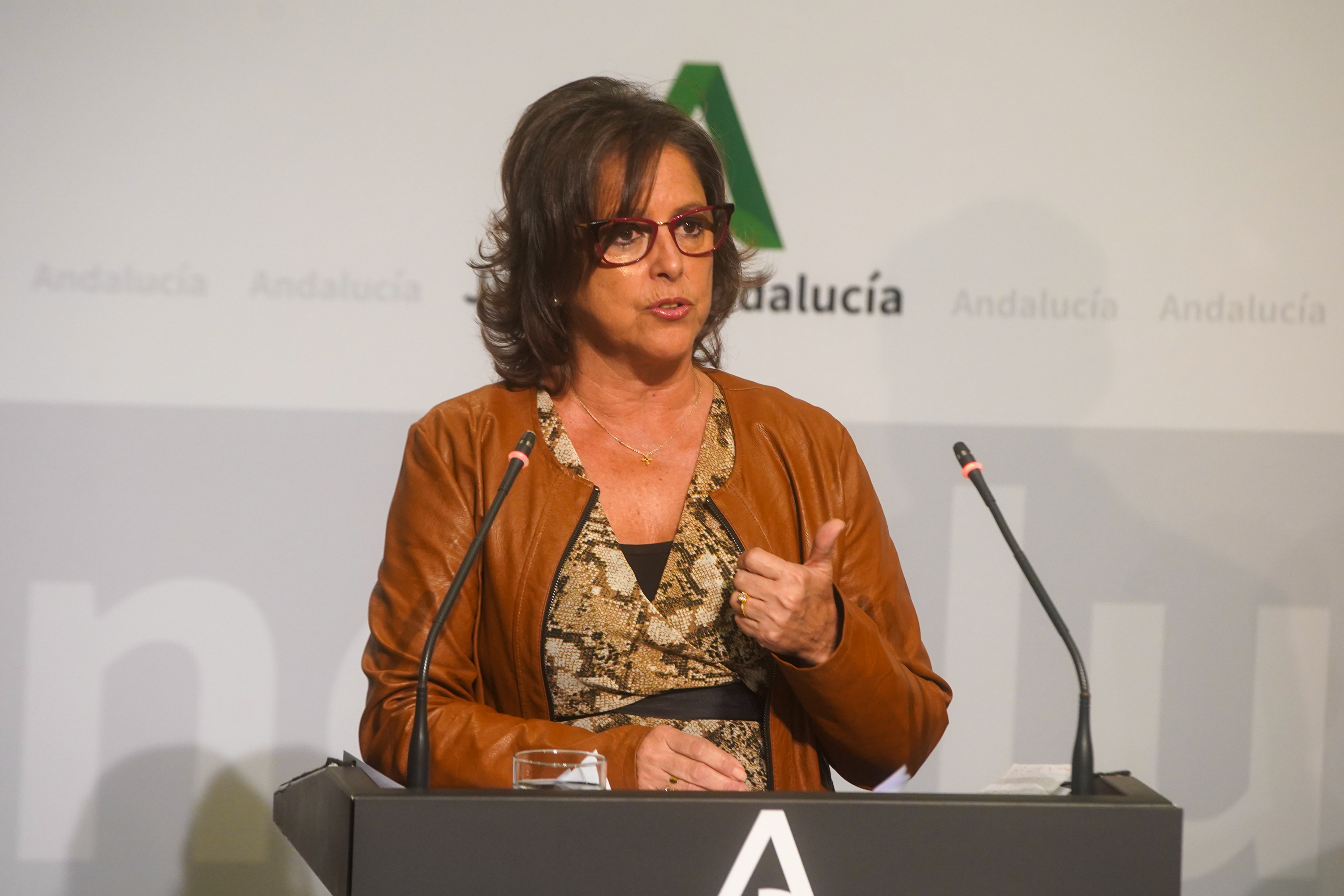 La consejera de Salud, Catalina Garc