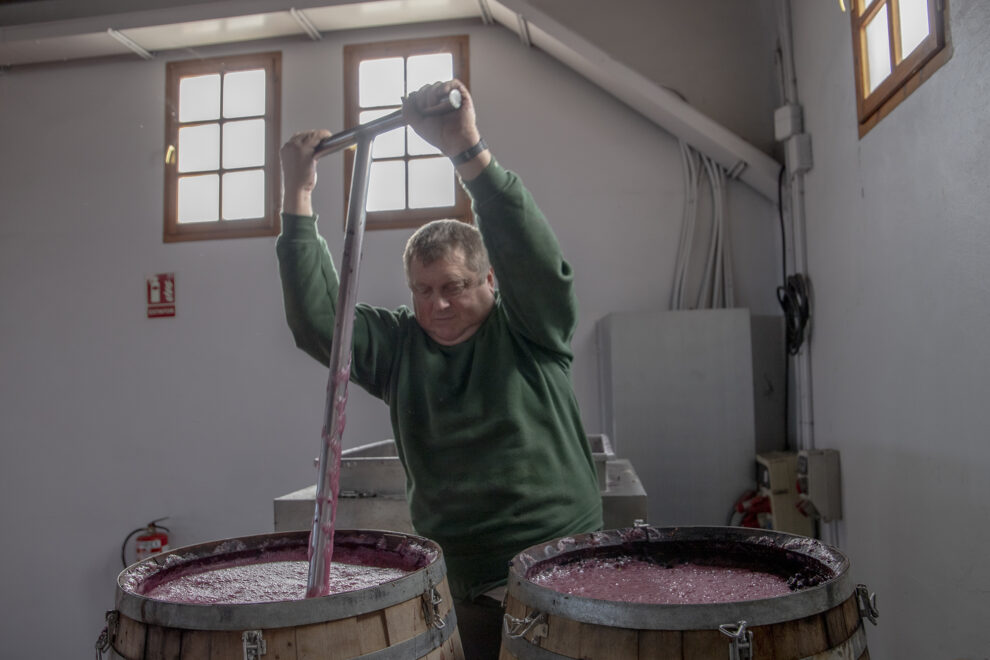 Un empleado de una bodega de Cariñena durante el proceso de fermentación. 